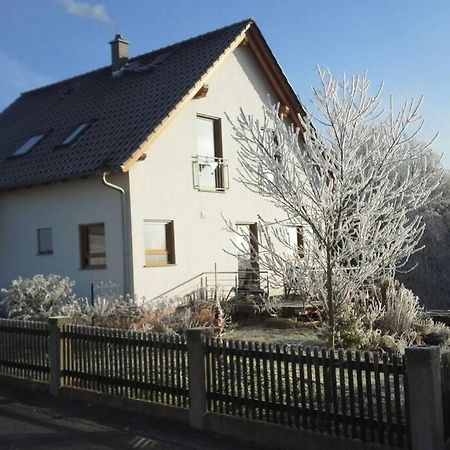 Appartment Am Traetzhof Φούλντα Εξωτερικό φωτογραφία